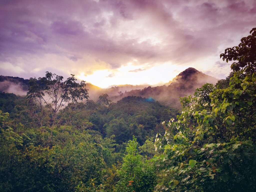 pexels-photo-540006-540006 Lush jungle landscape with mist and a colorful sunrise over distant mountains.