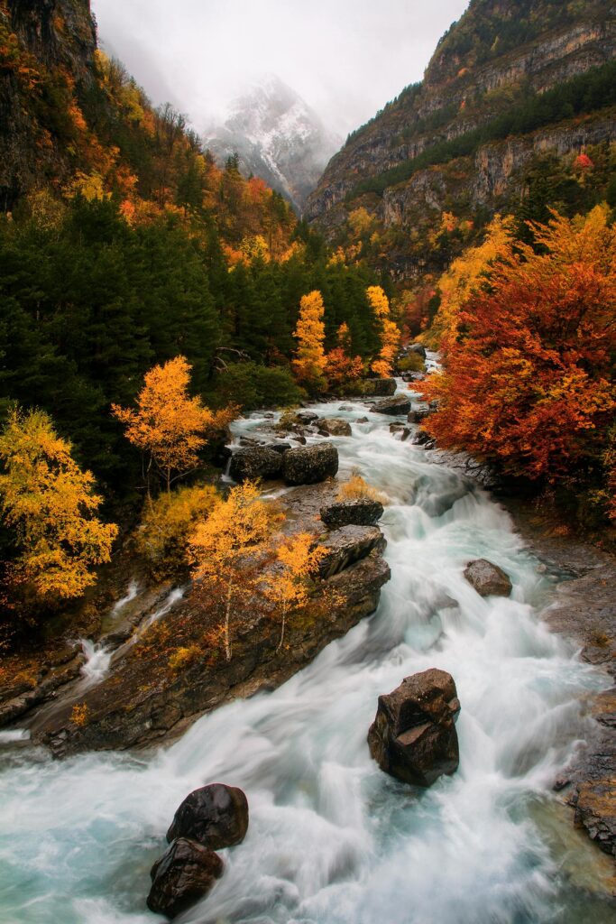 Breathtaking autumn scenery in Ordesa Valley, Aragón featuring vibrant foliage and rushing river.